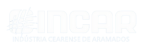 Design sem nome (1)